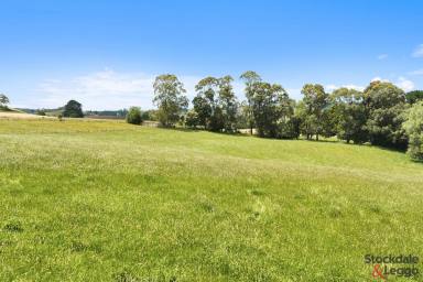 Farm Sold - VIC - Mirboo - 3871 - OFFER ACCEPTED-36 PRODUCTIVE ACRES  (Image 2)
