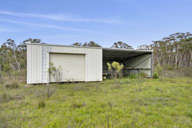 Farm Sold - NSW - Marulan - 2579 - "Acreage opportunities with Dwelling Entitlements!"  (Image 2)