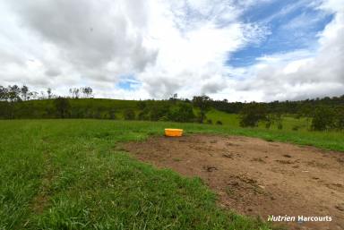 Farm For Sale - QLD - Mount Perry - 4671 - 418 Acres of Improved Pasture  (Image 2)