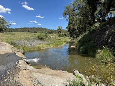 Farm For Sale - nsw - Merriwa - 2329 - 155 Acres Fronting The River  (Image 2)