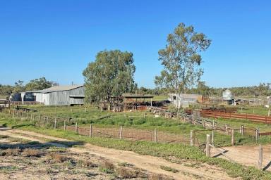 Farm For Sale - NSW - Brewarrina - 2839 - Easily Managed, Productive Grazing Property  (Image 2)