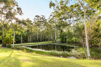 Farm Sold - QLD - Lake Macdonald - 4563 - Idyllic Rural Setting on 3.31 Acres  (Image 2)