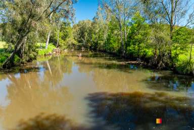 Farm Sold - NSW - Nelligen - 2536 - Potential Plus!  (Image 2)