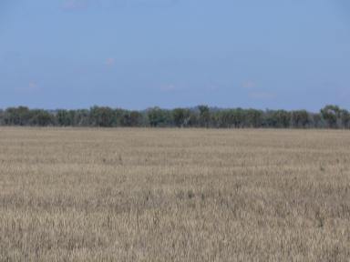 Farm For Sale - NSW - Fairholme - 2871 - Broad Scale Cropping & Grazing  (Image 2)