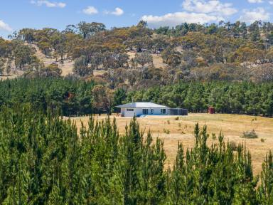Farm For Sale - NSW - Gunning - 2581 - Buy Your Dream for less than what it costs to build!  (Image 2)