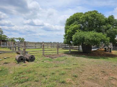 Farm For Sale - QLD - Kowguran - 4415 - The foundations are set!  (Image 2)