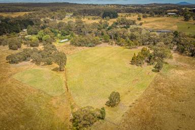 Farm For Sale - VIC - Beaufort - 3373 - 2.00HA (4.94 Acres) Picturesque & Private Setting Close To Town  (Image 2)