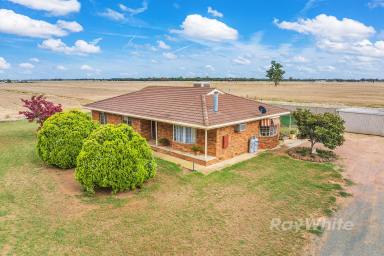 Farm For Sale - VIC - Rochester - 3561 - Hidden Country Gem!!!  (Image 2)