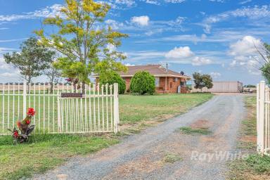 Farm For Sale - VIC - Rochester - 3561 - Hidden Country Gem!!!  (Image 2)