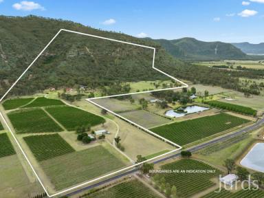 Farm Sold - NSW - Broke - 2330 - Catherine Vale - An iconic Hunter Valley Estate  (Image 2)