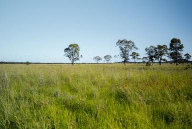 Farm Sold - QLD - Mungallala - 4467 - North Mungallala's Hidden Gem In Prime Location  (Image 2)