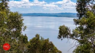Farm For Sale - NSW - Bywong - 2621 - Unparalleled Views  (Image 2)