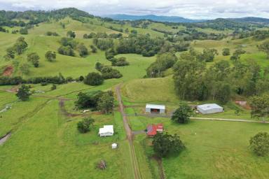 Farm For Sale - NSW - Kyogle - 2474 - WYNEDEN - 1067 ACRES  (Image 2)