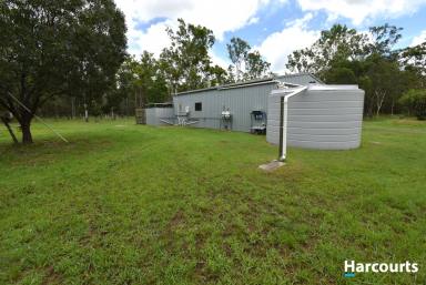 Farm Sold - QLD - Horton - 4660 - 28 Acres of Quiet Comfortable Living  (Image 2)