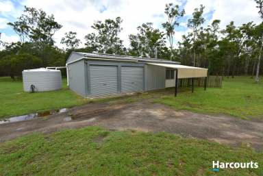 Farm Sold - QLD - Horton - 4660 - 28 Acres of Quiet Comfortable Living  (Image 2)