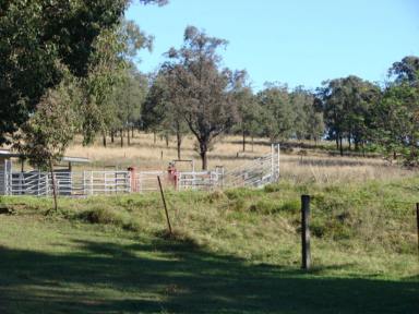 Farm Sold - NSW - Muswellbrook - 2333 - IDEAL HOBBY LOT OR LIFESTYLE ACREAGE OF 19.05 HA ONLY 1 KM FROM TOWN WITH A 3-4 BEDROOM W/BOARD HOME  (Image 2)