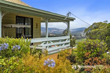 Farm For Sale - TAS - Huonville - 7109 - Private Retreat with Stunning Views in Huonville  (Image 2)