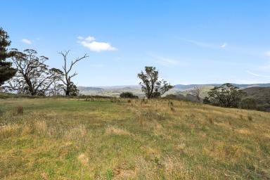 Farm Sold - NSW - Tumut - 2720 - Rural Land  (Image 2)