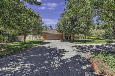 Farm Sold - VIC - Echuca - 3564 - Tranquil Setting  in  Quiet Village Court  (Image 2)