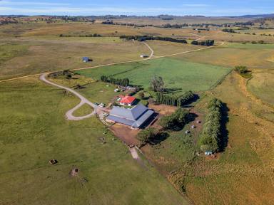 Farm Sold - NSW - Bibbenluke - 2632 - "Broadview"  (Image 2)