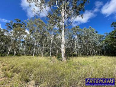 Farm For Sale - QLD - Nanango - 4615 - 4.94  Acres Within Outskirts Of Town  (Image 2)