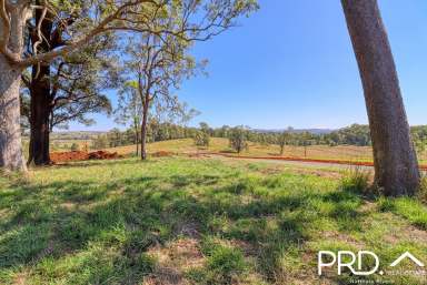 Farm For Sale - NSW - Kyogle - 2474 - Nearing Completion! The Fig Tree Estate  (Image 2)