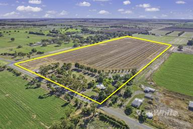 Farm For Sale - VIC - Ballendella - 3561 - This ones special!  (Image 2)