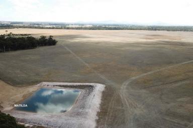 Farm Sold - WA - Kendenup - 6323 - Kendenup Lease and Sale Opportunity  (Image 2)