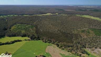 Farm For Sale - VIC - Won Wron - 3971 - SECLUDED BUSH BLOCK WITH LONG CREEK FRONTAGE  (Image 2)