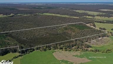 Farm For Sale - VIC - Won Wron - 3971 - SECLUDED BUSH BLOCK WITH LONG CREEK FRONTAGE  (Image 2)