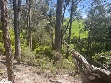 Farm For Sale - VIC - Won Wron - 3971 - SECLUDED BUSH BLOCK WITH LONG CREEK FRONTAGE  (Image 2)