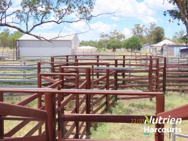 Farm For Sale - QLD - Hookswood - 4415 - Under Contract By Team Barker  (Image 2)