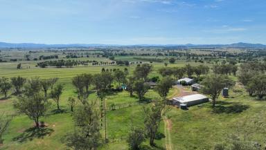 Farm For Sale - NSW - Tamworth - 2340 - CRESLEA - THE BEST YOU WILL FIND  (Image 2)