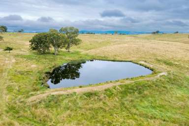 Farm For Sale - NSW - Big Hill - 2579 - 40 Acres, perfect weekender location, good grazing country also, fully fenced, located only 30 Minutes Off The Hume Motorway and Marulan.  (Image 2)