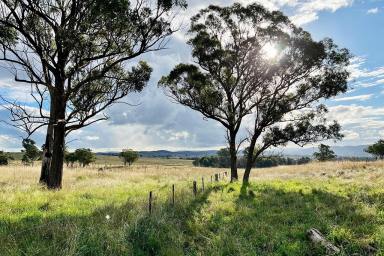 Farm For Sale - NSW - Big Hill - 2579 - 40 Acres, perfect weekender location, good grazing country also, fully fenced, located only 30 Minutes Off The Hume Motorway and Marulan.  (Image 2)