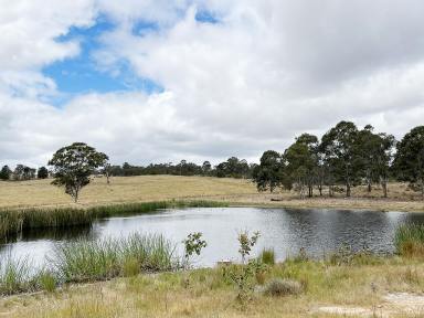 Farm For Sale - NSW - Big Hill - 2579 - 40 Acres, perfect weekender location, good grazing country also, fully fenced, located only 30 Minutes Off The Hume Motorway and Marulan.  (Image 2)