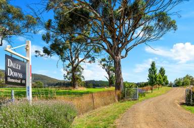 Farm Sold - TAS - Ellendale - 7140 - “Dally Downs" ~ 864 ac  (Image 2)