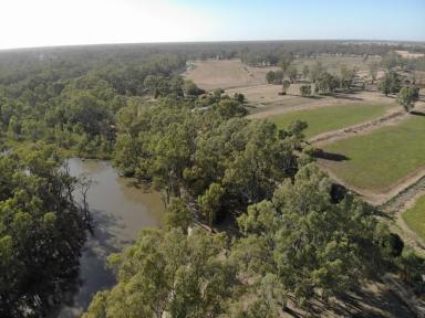 Farm For Sale - VIC - Gannawarra - 3568 - Outstanding Opportunity  (Image 2)
