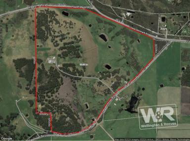 Farm For Sale - WA - Lowlands - 6330 - HIGH ON THE HILL VIEWS - 99 HA  (Image 2)