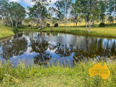 Farm For Sale - QLD - Yarraman - 4614 - BLUE RIBBON GRAZING  (Image 2)