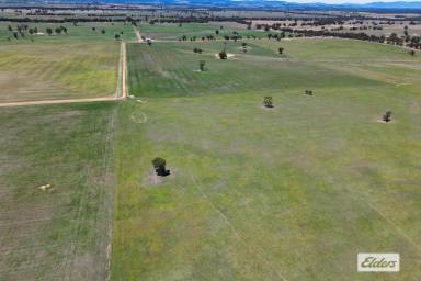 Farm For Sale - VIC - Greens Creek - 3387 - Greens Creek Cropping/Grazing - 1303 Acres  (Image 2)