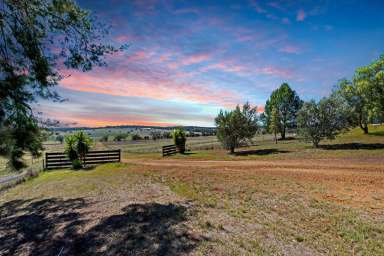 Farm Sold - NSW - Dubbo - 2830 - Stunning, Elevated 25 acre Lifestyle Property With Mesmerising Valley Views!  (Image 2)