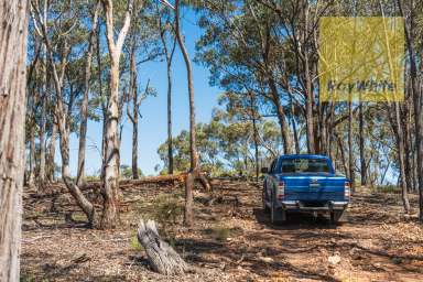 Farm For Sale - NSW - Gunning - 2581 - Adventure Playground  (Image 2)