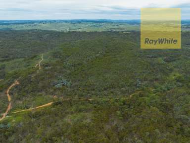 Farm For Sale - NSW - Gunning - 2581 - Adventure Playground  (Image 2)