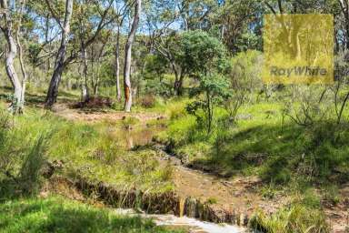 Farm For Sale - NSW - Gunning - 2581 - Adventure Playground  (Image 2)