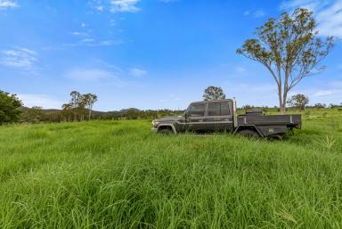 Farm Auction - QLD - Woolooga - 4570 - 267 acres of prime grazing, near-new home and 1km of direct creek frontage!  (Image 2)
