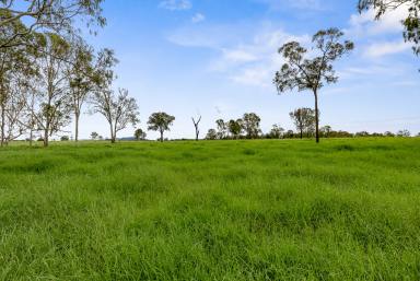 Farm Auction - QLD - Woolooga - 4570 - 267 acres of prime grazing, near-new home and 1km of direct creek frontage!  (Image 2)