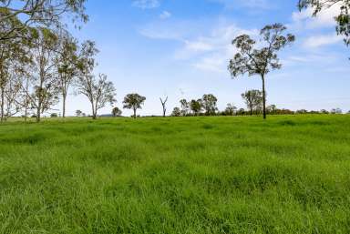 Farm Sold - QLD - Woolooga - 4570 - 267 acres of prime grazing, near-new home and 1km of direct creek frontage!  (Image 2)