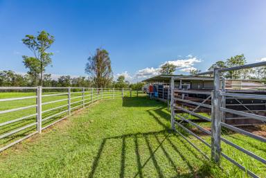 Farm Sold - QLD - Glenorchy - 4650 - “Six Mile Springs” 65 acres, family home and secure water supply!   (Image 2)