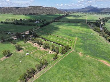 Farm For Sale - NSW - Sandy Hollow - 2333 - Premier Hunter Valley Equine Facility  (Image 2)